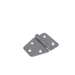 Hinge 55x40mm AISI316