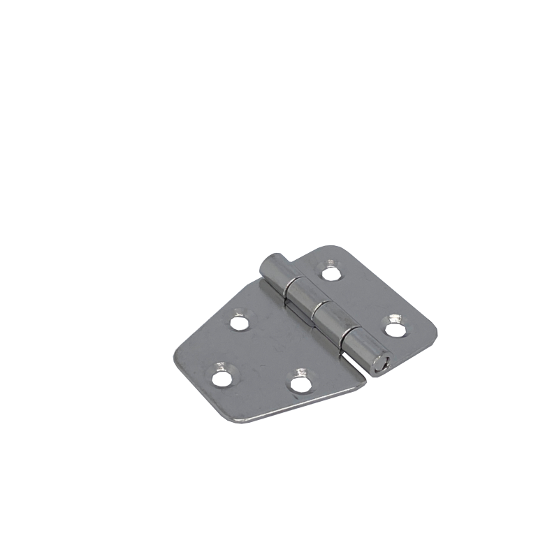 Hinge 55x40mm AISI316